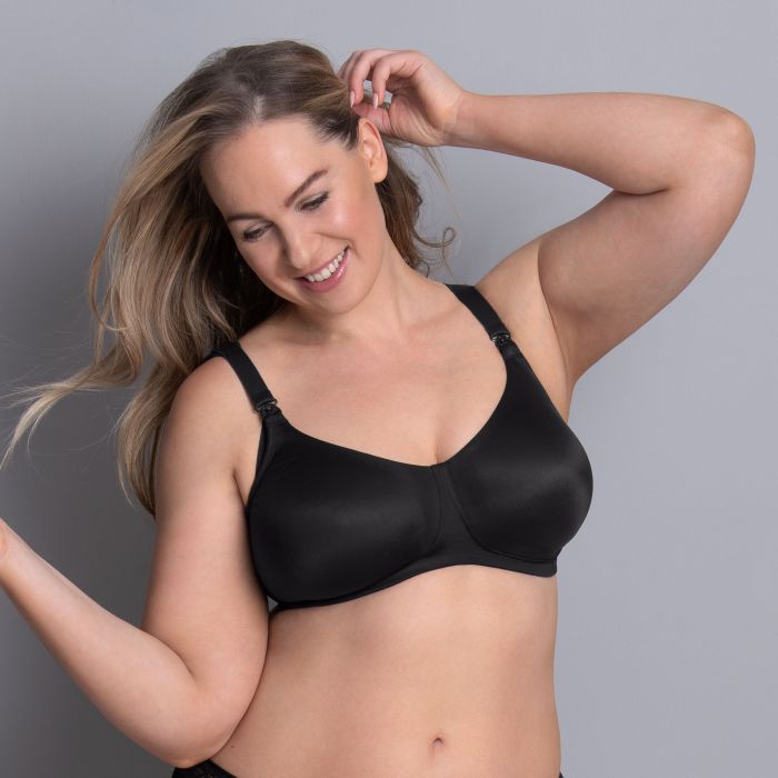 Rosa Faia BASIC - Still-BH Auslauf
